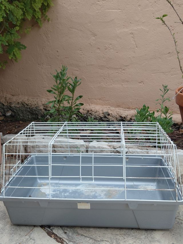 Gabbia da trasporto per conigli - Grigio