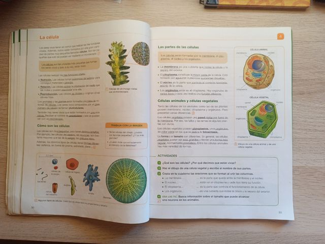 Libros 6° primaria.