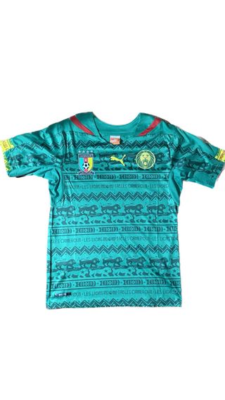 Camiseta Camerún 2014