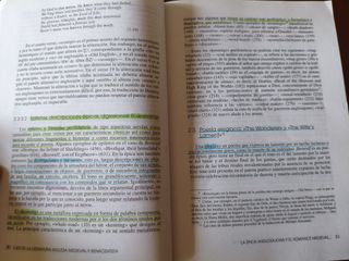 Ejes de la Literatura Inglesa Medieval y Renace...