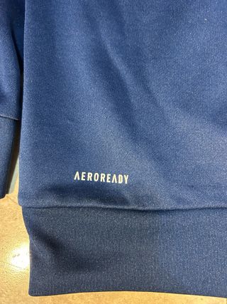 Sudadera Adidas azul con capucha