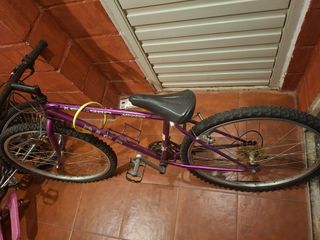 Bicicleta montaña vintage