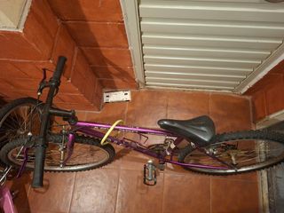 Bicicleta montaña vintage