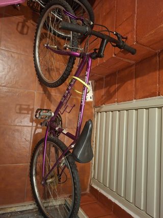 Bicicleta montaña vintage
