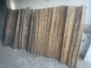 Cañizo bambú - 40 cañas