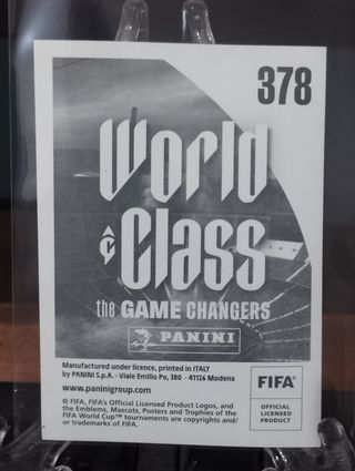 Fayssal Harchaoui (378) - Classe Mundial