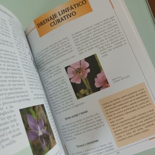 Libro. EL DRENAJE LINFÁTICO. Susaeta