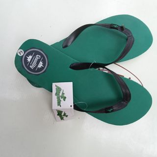Chanclas Alligator verdes - Talla 44