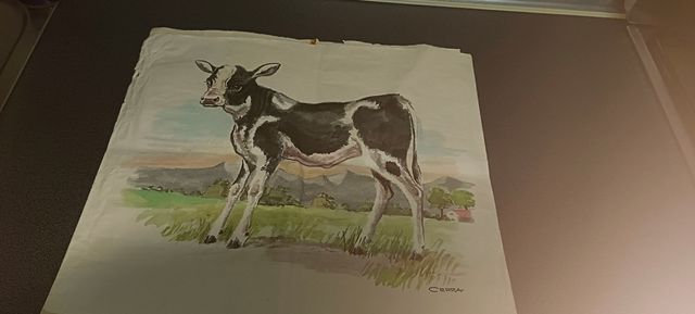 Lámina acuarela ternero CERRA