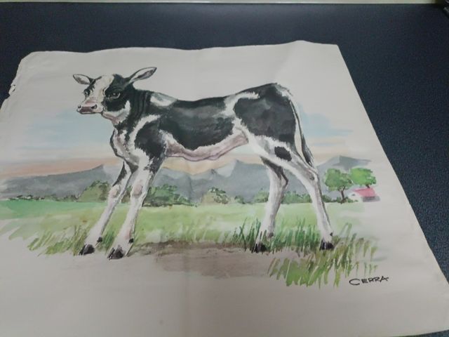 Lámina acuarela ternero CERRA
