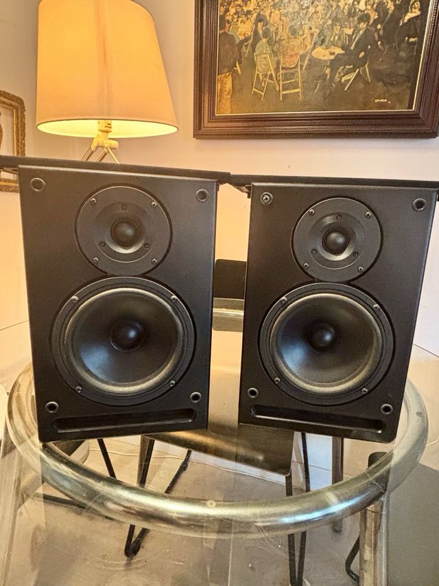 Pareja de atavoces AGL M-6 Vintage y ampli Alesis