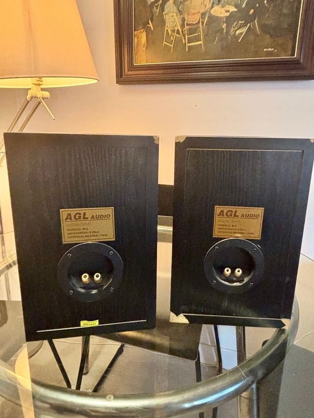 Pareja de atavoces AGL M-6 Vintage y ampli Alesis