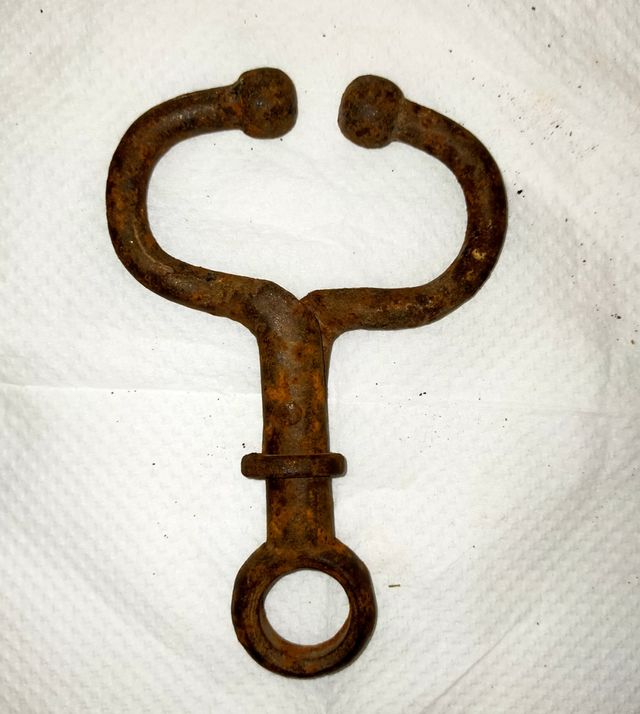 Nariz de Bovino - Velho