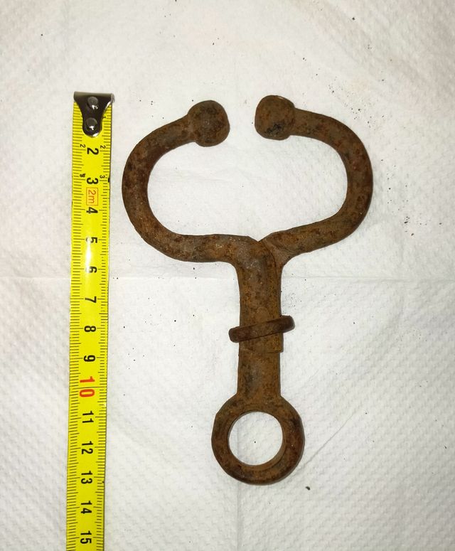 Nariz de Bovino - Velho