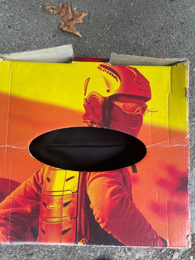 Casco sci bambina Alpina rosa