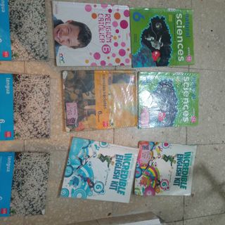 Libros de texto 6° primaria. 