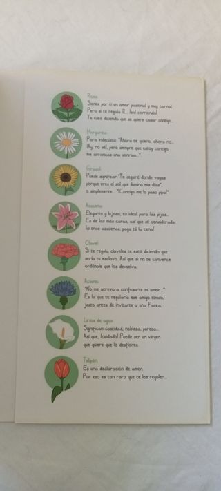 Los capullos no regalan flores (Spanish Edition)