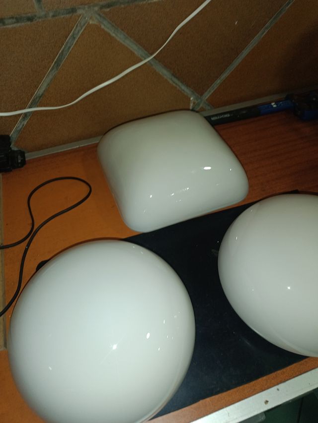 Tulipas varias cristal blanco