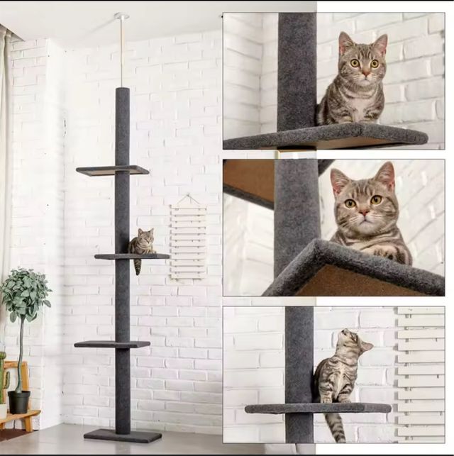 Rascador gato gris CatCraft 238-274cm Ajustable
