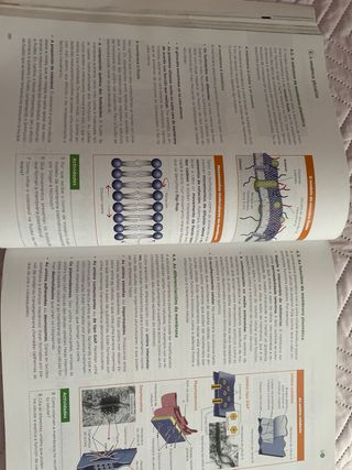 Bioloxía 2.