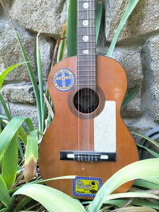 Guitarra clásica española

