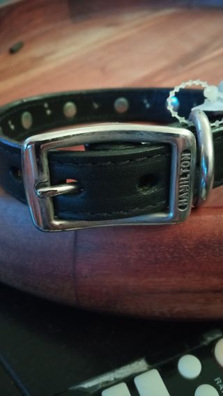 Collar perro cuero negro con pinchos
