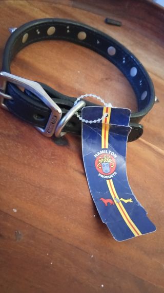 Collar perro cuero negro con pinchos