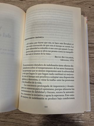 La fuerza del optimismo