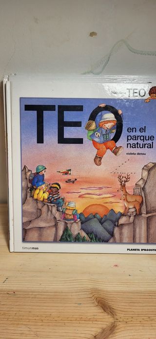 Coleccion completa libros Teo