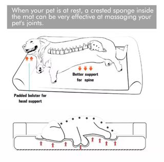 Cama perro grande ortopédica