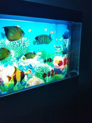 Lampara acuario peces 