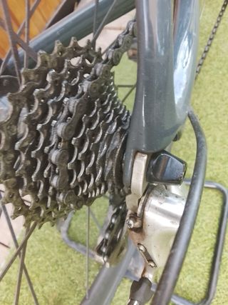 Bicicleta