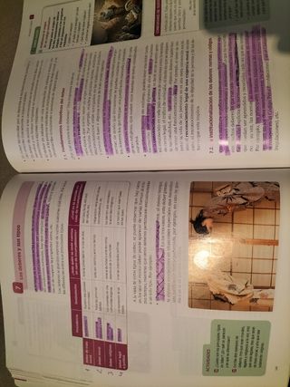 FILOSOFIA SERIE REFLEXIONA 4 ESO SABER HACER