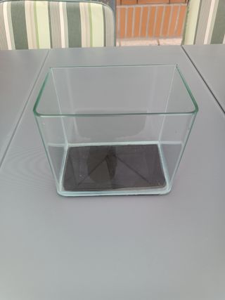 Acuario pequeño de cristal