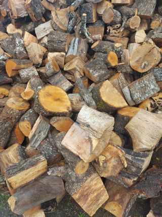 Leña de Encina - Seca