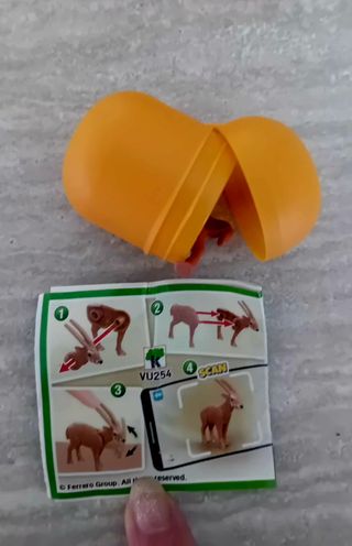 Kinder Animali - Collezione