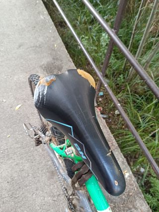 Bicicleta BH montaña vintage