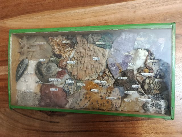 Colección minerales y fósiles