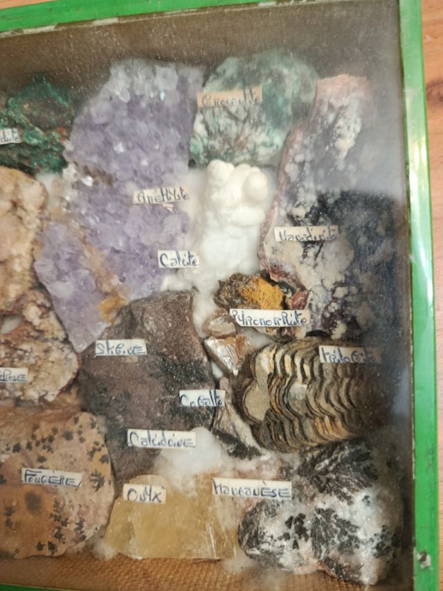 Colección minerales y fósiles