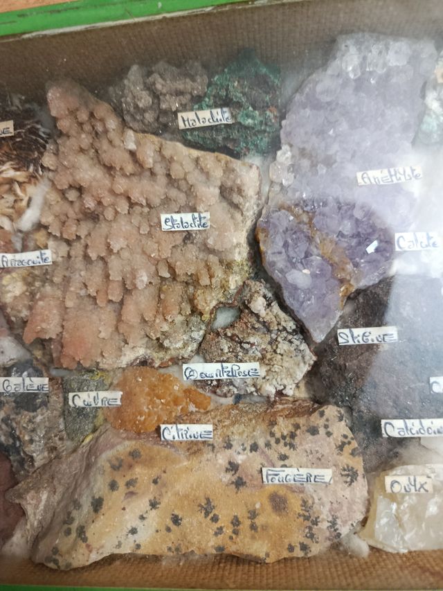 Colección minerales y fósiles