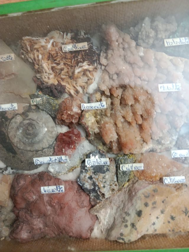 Colección minerales y fósiles