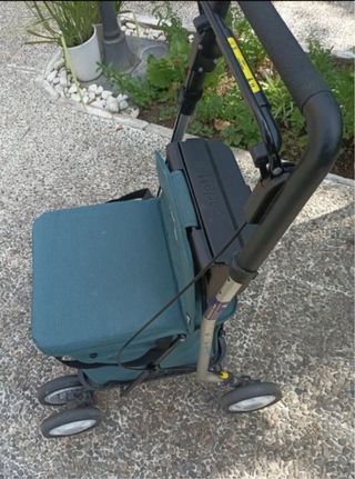 Carrito andador Carlett