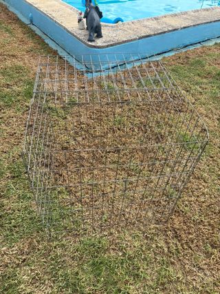 Jaula para gallos 70x70cm