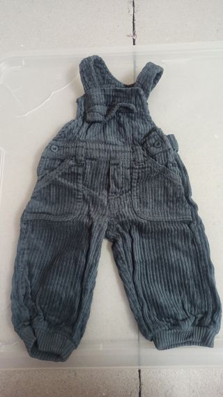 Mono bebé pana gris