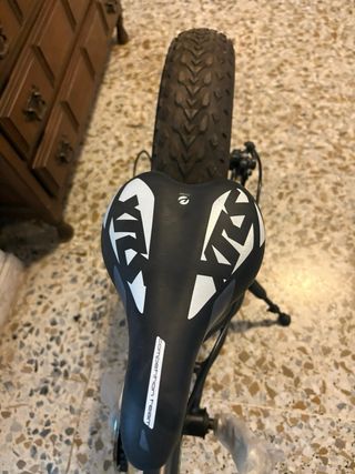 Bicicleta Fat Bike 24" pulgadas Niño