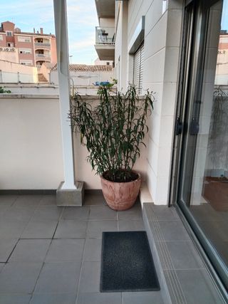 Macetas terracota grandes - 50cm diámetro