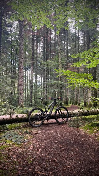 Specialized Turbo Levo Expert Carbon