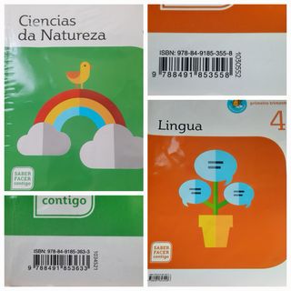 Lote de libros de cuarto de primaria. También solo