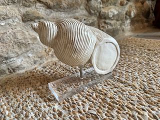 Decoración caracola de mármol con base