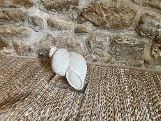 Decoración caracola de mármol con base